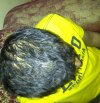 Riyadh-20120706-01429.jpg