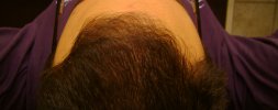 DSC06418 - Crop.jpg