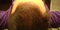 DSC06419 - Crop.jpg