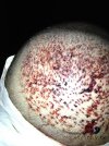 صورة 004.jpg